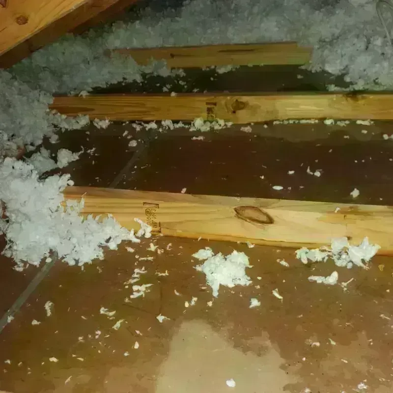 Attic Water Damage in Piermont, NY